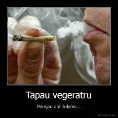 Tapau vegeratru - Perėjau ant žolytės...