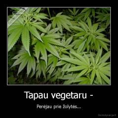 Tapau vegetaru - - Perėjau prie žolytės...