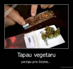 Tapau vegetaru - perėjau prie žolytės... 