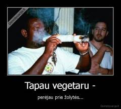 Tapau vegetaru - - perėjau prie žolytės...