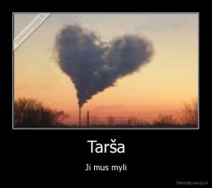 Tarša - Ji mus myli