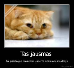 Tas jausmas  - Kai pasibaigus vakareliui , apema nemalonus liudesys