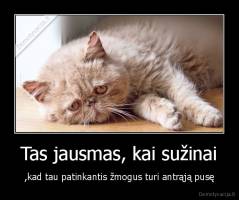 Tas jausmas, kai sužinai - ,kad tau patinkantis žmogus turi antrąją pusę