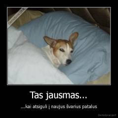 Tas jausmas... - ...kai atsiguli į naujus švarius patalus