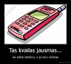 Tas kvailas jausmas... - kai ieškai telefono, o jis tavo rankose