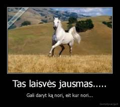 Tas laisvės jausmas..... - Gali daryt ką nori, eit kur nori...
