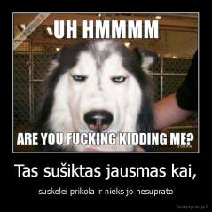 Tas sušiktas jausmas kai, - suskelei prikola ir nieks jo nesuprato
