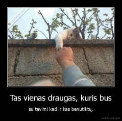 Tas vienas draugas, kuris bus - su tavimi kad ir kas benutiktų.