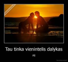 Tau tinka vienintelis dalykas - Aš