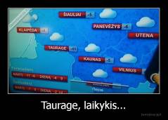 Taurage, laikykis... - 