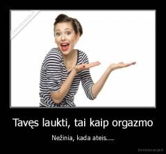 Tavęs laukti, tai kaip orgazmo - Nežinia, kada ateis....