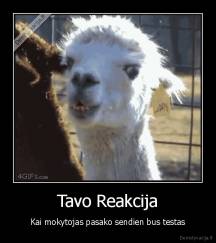 Tavo Reakcija - Kai mokytojas pasako sendien bus testas