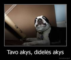Tavo akys, didelės akys - 