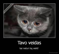 Tavo veidas - kai neturi ką veikt! 