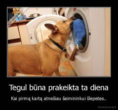 Tegul būna prakeikta ta diena - Kai pirmą kartą atnešiau šeimininkui šlepetes..
