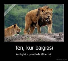 Ten, kur baigiasi - kantrybė - prasideda ištvermė.
