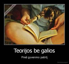 Teorijos be galios - Prieš gyvenimo patirtį