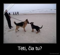 Tėti, čia tu? - 