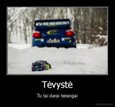 Tėvystė - Tu tai darai teisingai