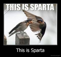 This is Sparta - 