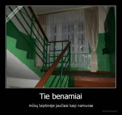 Tie benamiai - mūsų laiptinėje jaučiasi kaip namuose