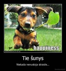 Tie šunys - Niekada nenustoja skraide...