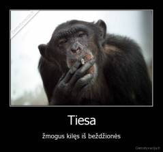 Tiesa - žmogus kilęs iš beždžionės