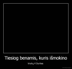 Tiesiog benamis, kuris išmokino - triukų 4 žiurkes 