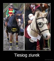 Tiesiog ziurek - 