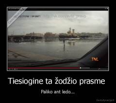 Tiesiogine ta žodžio prasme  - Paliko ant ledo...