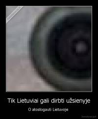 Tik Lietuviai gali dirbti užsienyje - O atostogauti Lietuvoje 