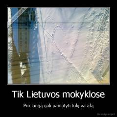 Tik Lietuvos mokyklose - Pro langą gali pamatyti tokį vaizdą