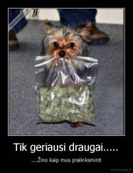 Tik geriausi draugai..... - ....Žino kaip mus pralinksminti