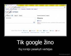 Tik google žino - Ką norėjo pasakyti vertėjas