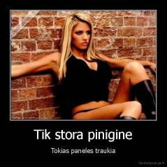 Tik stora pinigine - Tokias paneles traukia