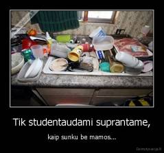 Tik studentaudami suprantame, - kaip sunku be mamos...