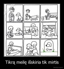Tikrą meilę išskiria tik mirtis - 