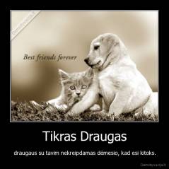 Tikras Draugas - draugaus su tavim nekreipdamas dėmesio, kad esi kitoks.