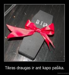 Tikras draugas ir ant kapo pašika. - 