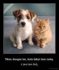 Tikras draugas tas, kuris laikys tavo ranką  - ir jaus tavo širdį.