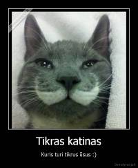 Tikras katinas - Kuris turi tikrus ūsus :)
