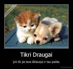 Tikri Draugai - juk tik jie tave išklausys ir tau padės