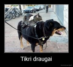 Tikri draugai - 