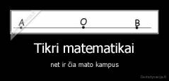 Tikri matematikai - net ir čia mato kampus