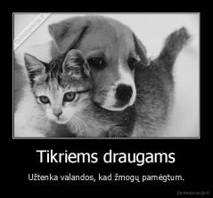 Tikriems draugams - Užtenka valandos, kad žmogų pamėgtum.