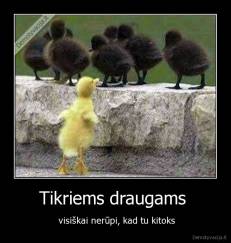 Tikriems draugams  -  visiškai nerūpi, kad tu kitoks