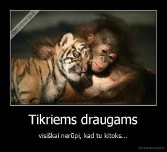 Tikriems draugams - visiškai nerūpi, kad tu kitoks...