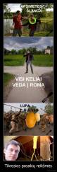 Tikrosios posakių reikšmės - 