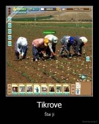 Tikrove - Štai ji