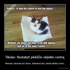 Tikslas: Nustatyti plokščio objekto centrą - Metodas: Numesti ant žemės. Atsiradus katė, atsisės tiksliai centre.